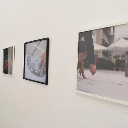 Hortensia Diseno Exclusivo 3* Ponteareas