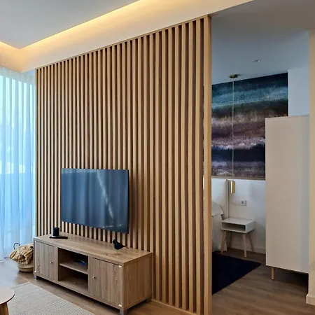 Hortensia Diseno Exclusivo Ponteareas